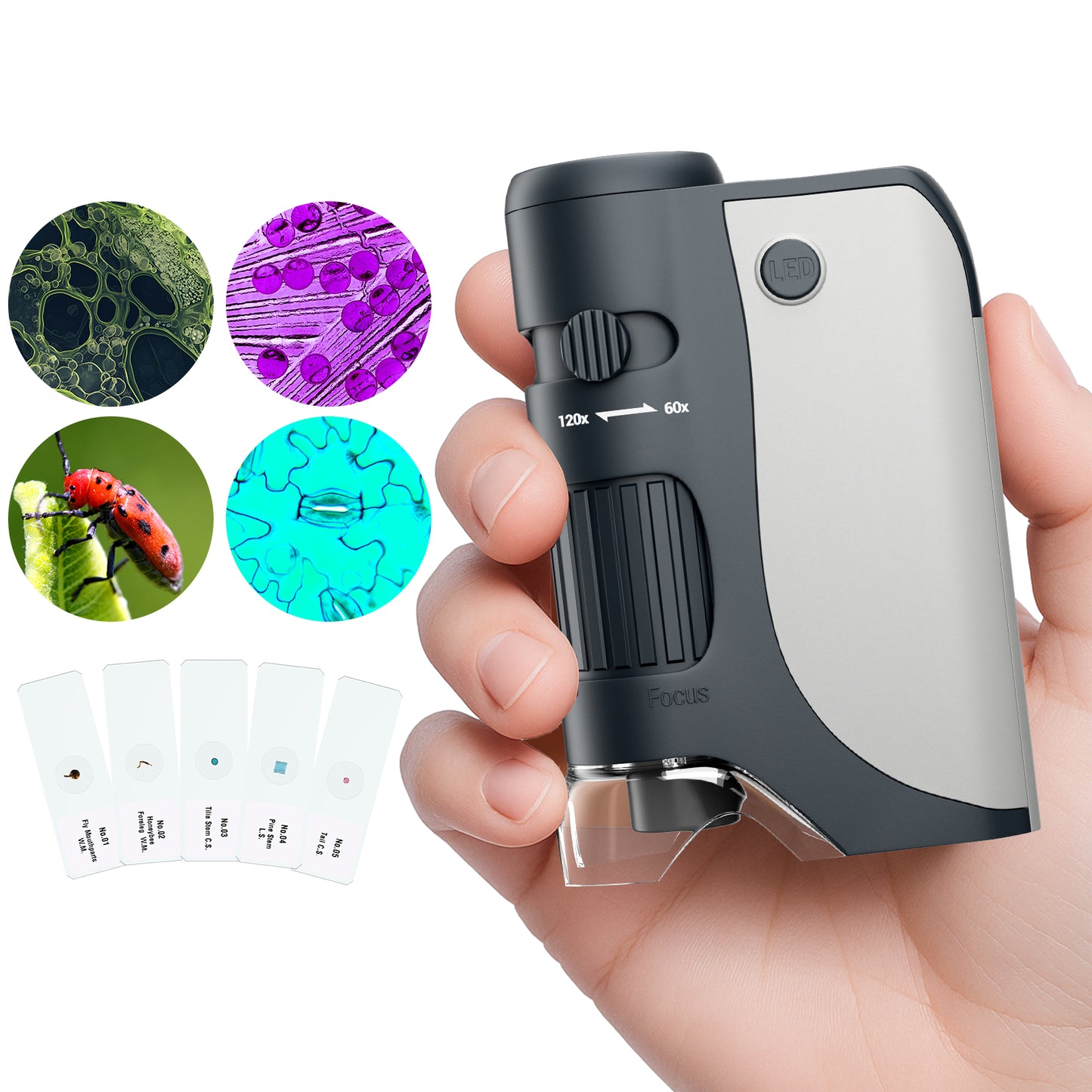 QUNSE Pocket Microscope for Kids and Students with Achromatic Lens, LED and UV Light, Portable Handheld Microscope Kit with 5 Prepared Slides, Carrying Bag, Gift Set (Gray)