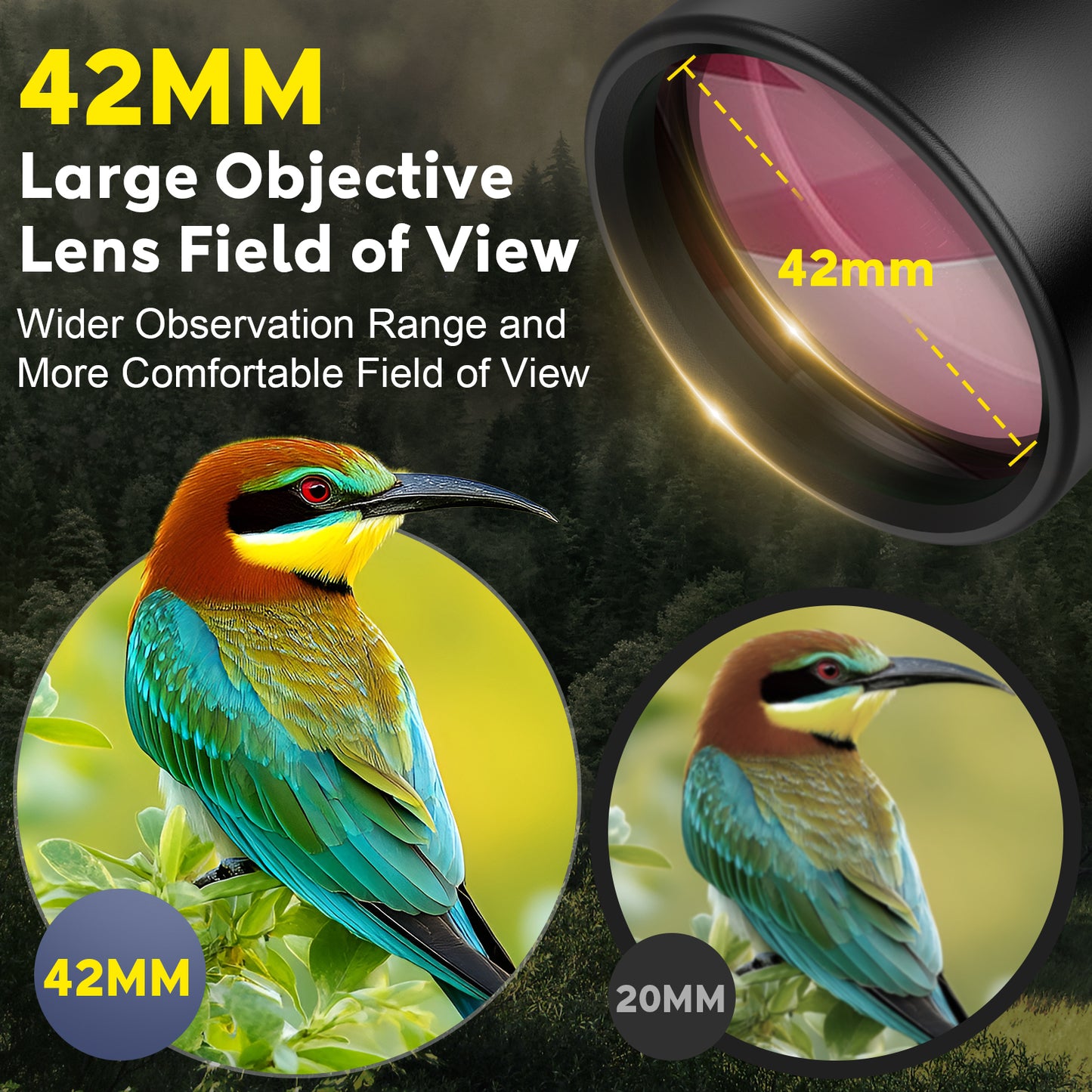 QUNSE 10x42 HD Binoculars for Adults High Powered with Upgraded Phone Adapter, Compact Waterproof Binoculars with Fully Multi Coated Lens, Ideal for Birding and Outdoors (Black)