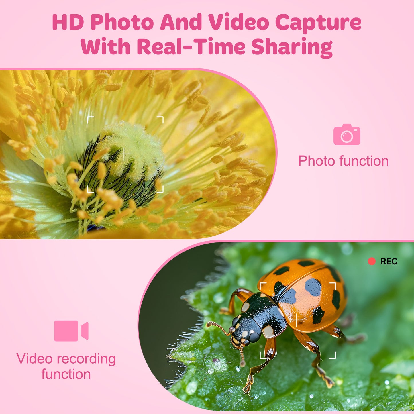 QUNSE Kids Microscope 1000X with 4K Screen, Rechargeable Digital Handheld Pocket Microscope, Portable Science Kit with Slides for Kids (Pink)