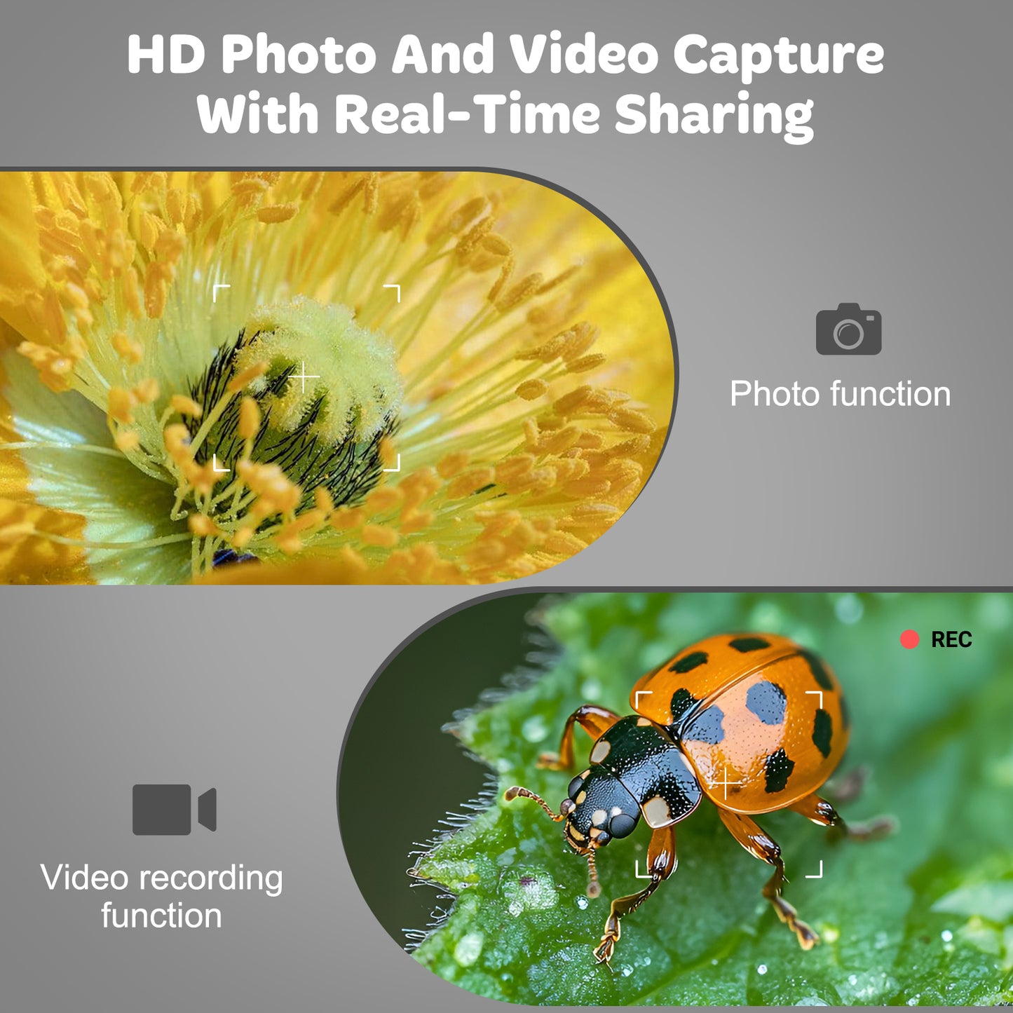 QUNSE Rechargeable Digital Handheld Pocket Microscope, Portable Science Kit with Slides for Kids, Kids Microscope 1000X with 4K Screen (Purple)