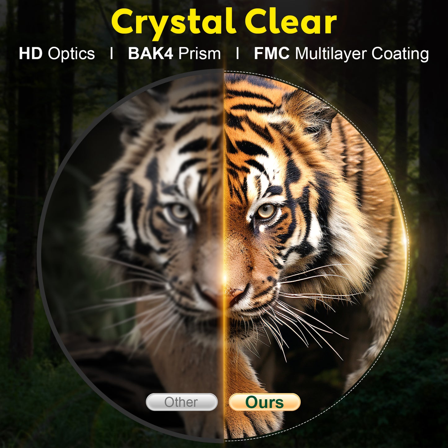 QUNSE 10x42 Compact HD Binoculars for Adults with Phone Adapter, Waterproof Binoculars with Fully Multi Coated Lens, High Powered for Bird Watching, Hunting, and Outdoor Sports (Green)