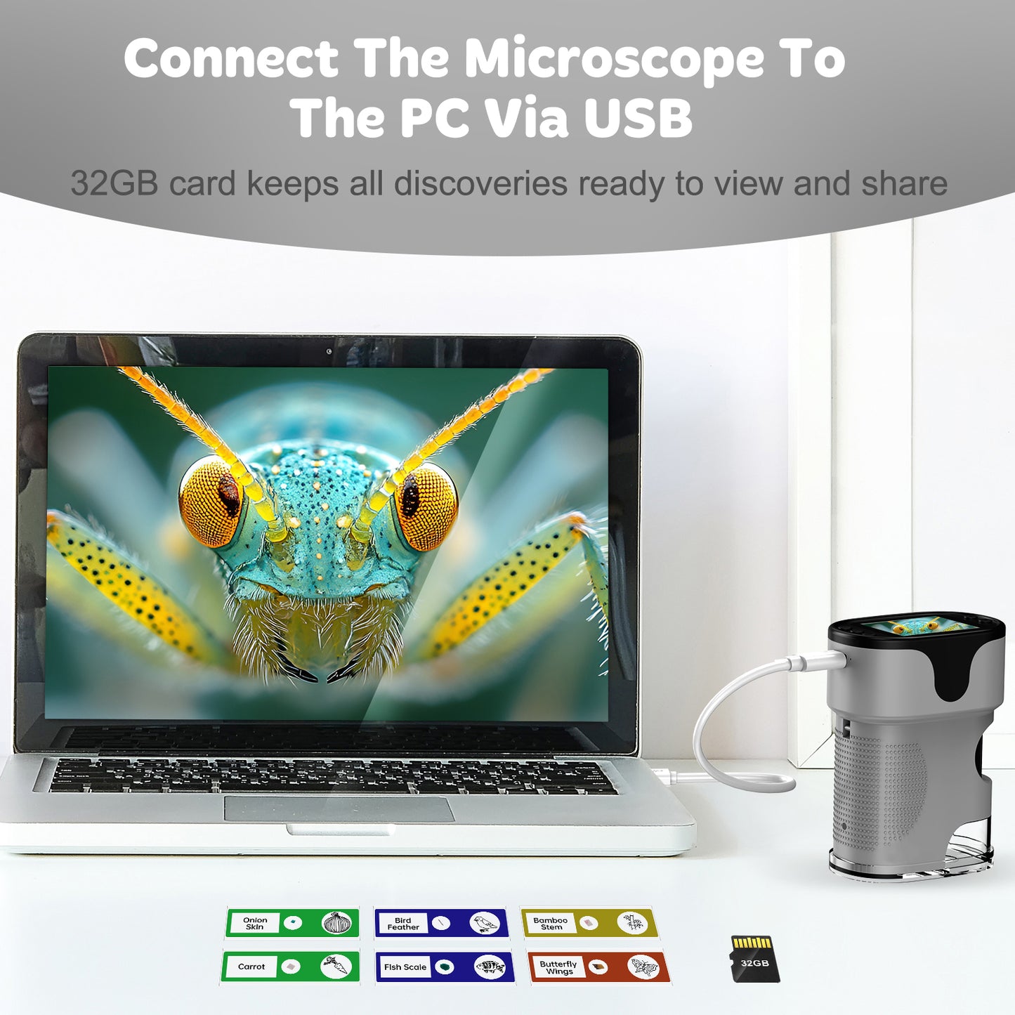 QUNSE Rechargeable Digital Handheld Pocket Microscope, Portable Science Kit with Slides for Kids, Kids Microscope 1000X with 4K Screen (Purple)