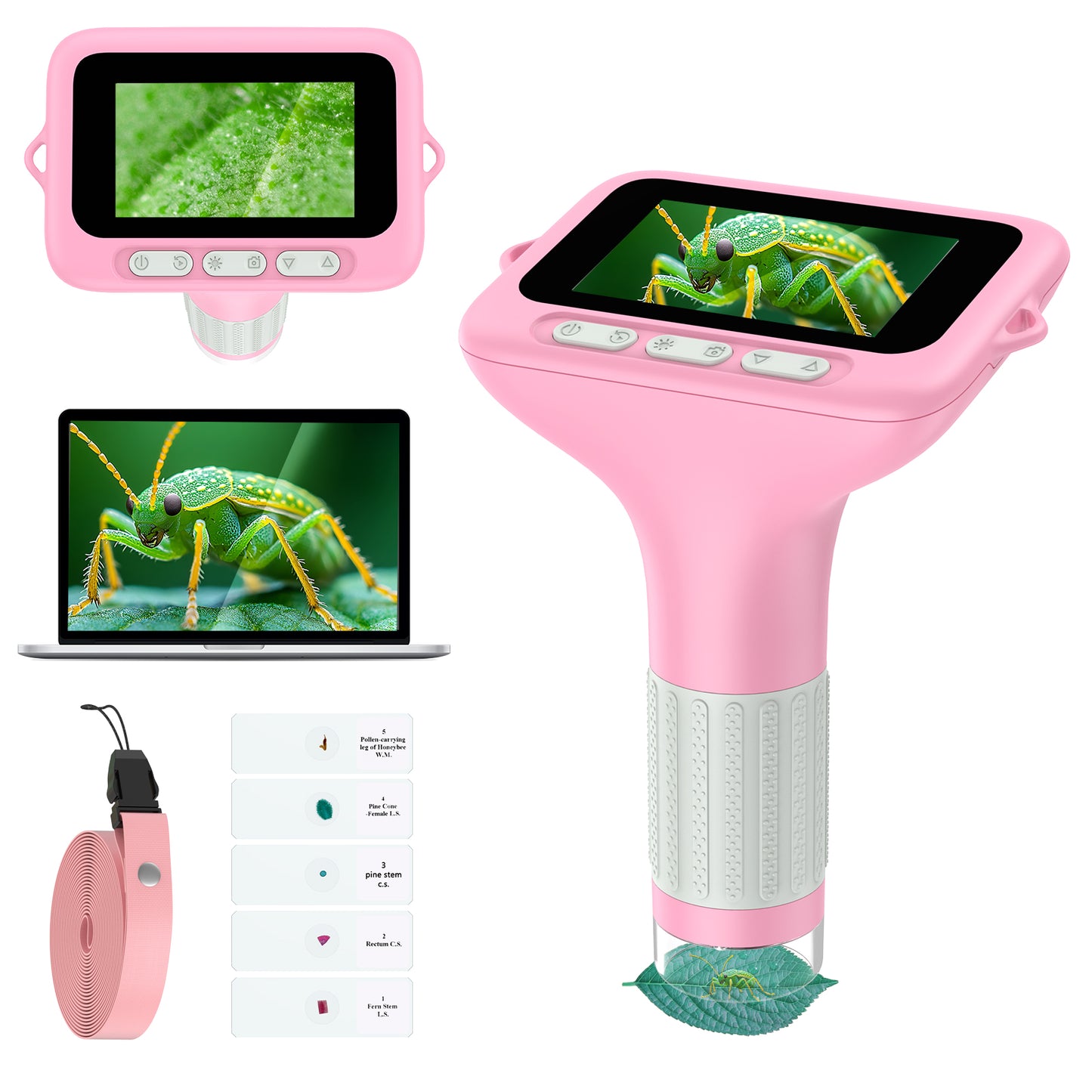 QUNSE 3-Inch IPS Screen 1000X Digital Microscope for Kids, Photo and Video Function, 8 LED Lights, Rechargeable Handheld Pocket Microscope, Compatible with Windows and Mac (Pink Gray)