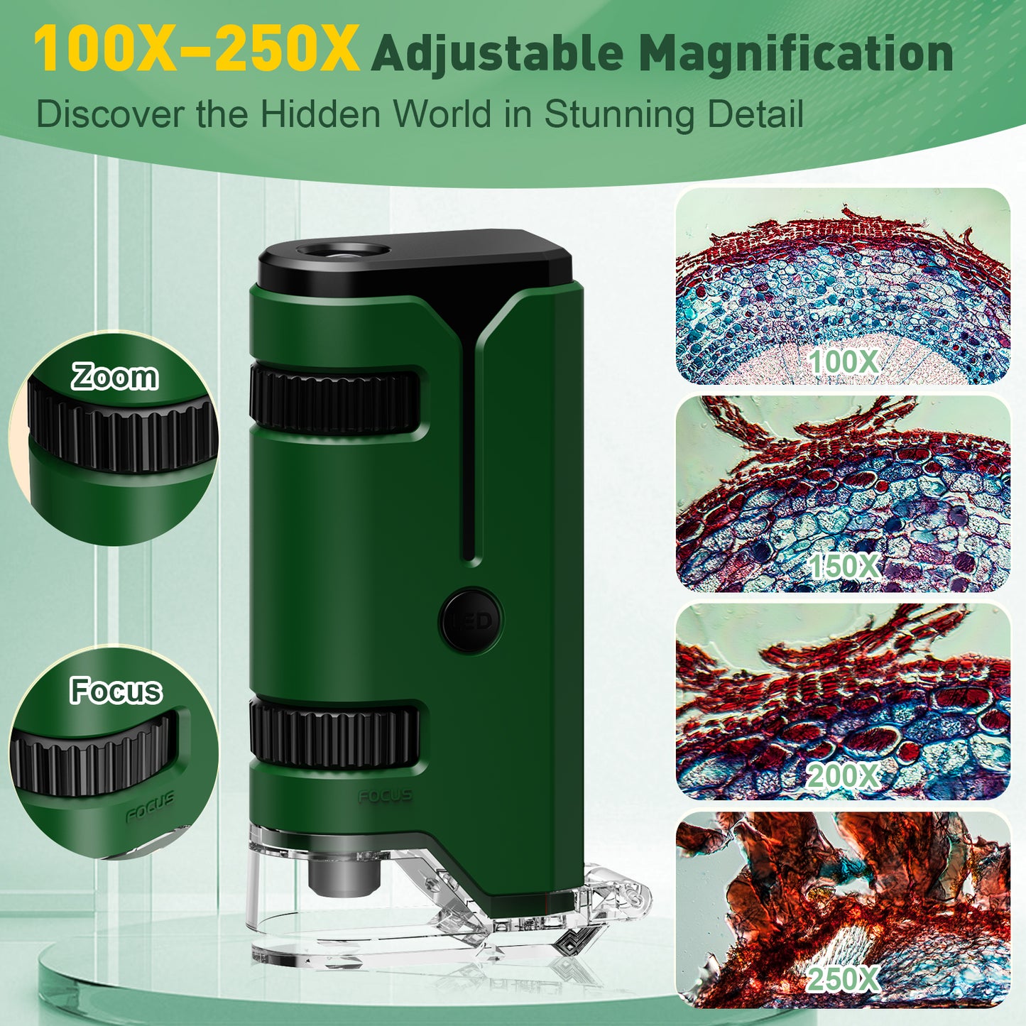 QUNSE Pocket Microscope for Kids and Students, 100x–250x Portable Handheld with LED and UV, Semi-Apochromatic Optics, Phone Adapter and Prepared Slides, Green