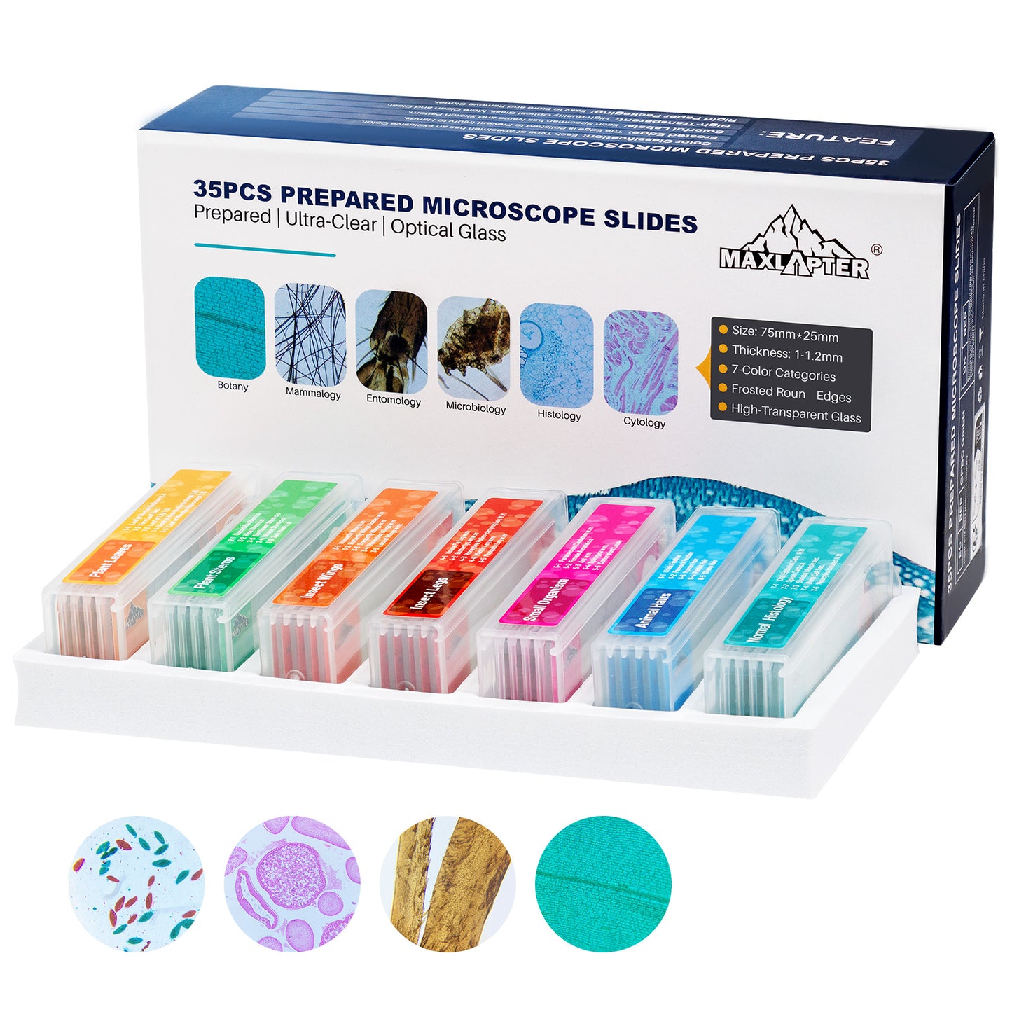 35 PCS Microscope Prepared Slides for Kids, Lab-Grade Safe Glass Plant Insect Animal Samples, Homeschool & Back to School Science Gift