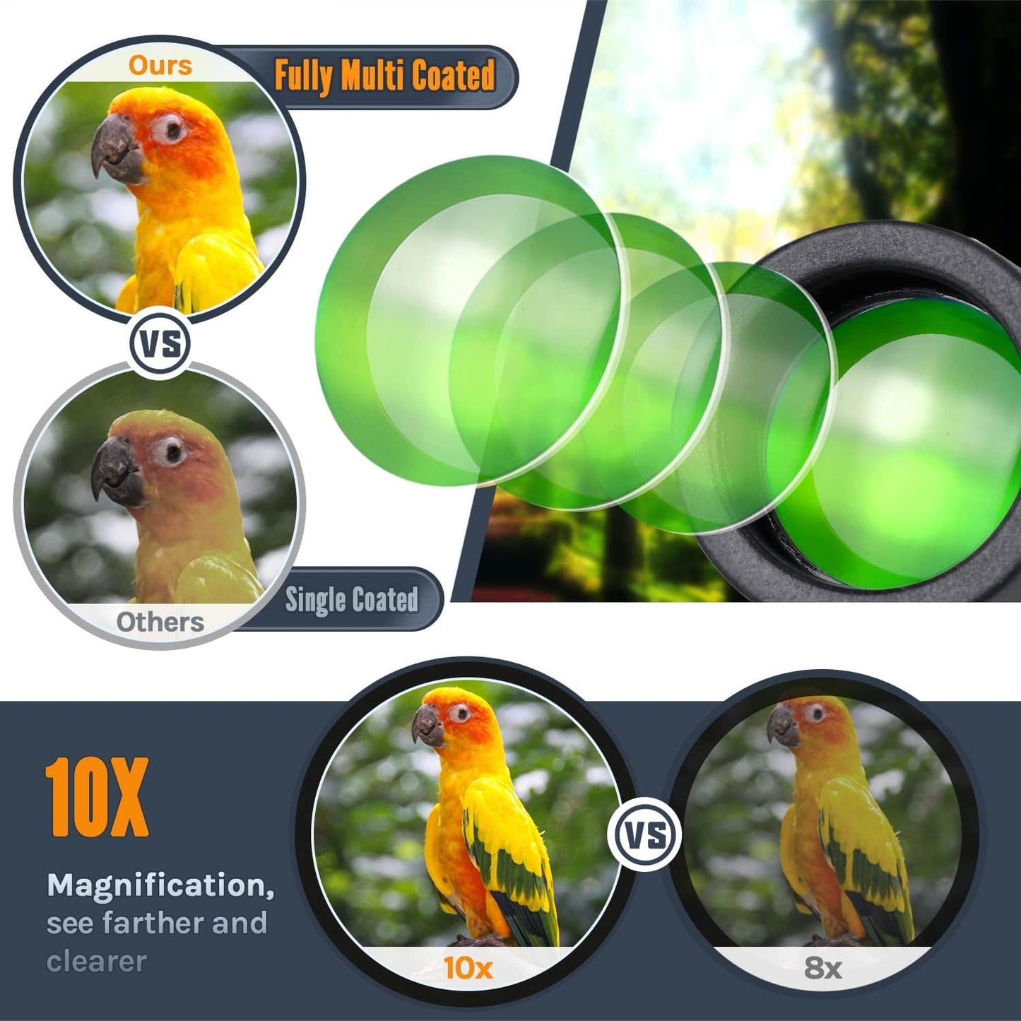 QUNSE 10x25 Small Compact Binoculars for Adults, Mini Pocket Portable Binoculars with Low Light Vision for Bird Watching, Hunting, Travel, and Sightseeing, Comes with Carrying Bag