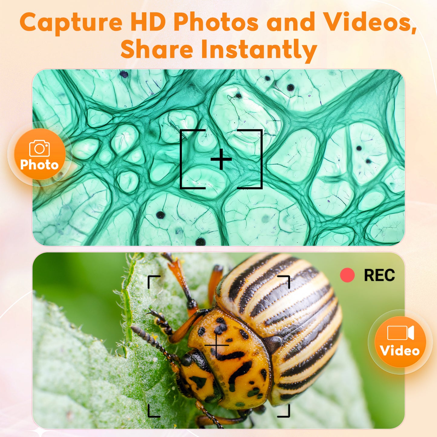 QUNSE 1000X Digital Microscope for Kids with 3-Inch IPS Screen, Rechargeable Handheld Pocket Microscope with Photo and Video, 8 LED Lights, Compatible with Windows and Mac (Orange Black)