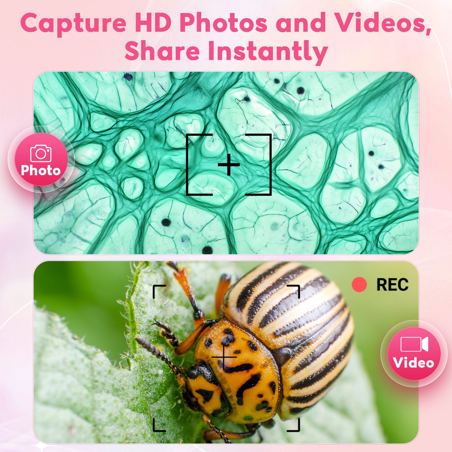 QUNSE 3-Inch IPS Screen 1000X Digital Microscope for Kids, Photo and Video Function, 8 LED Lights, Rechargeable Handheld Pocket Microscope, Compatible with Windows and Mac (Pink Gray)