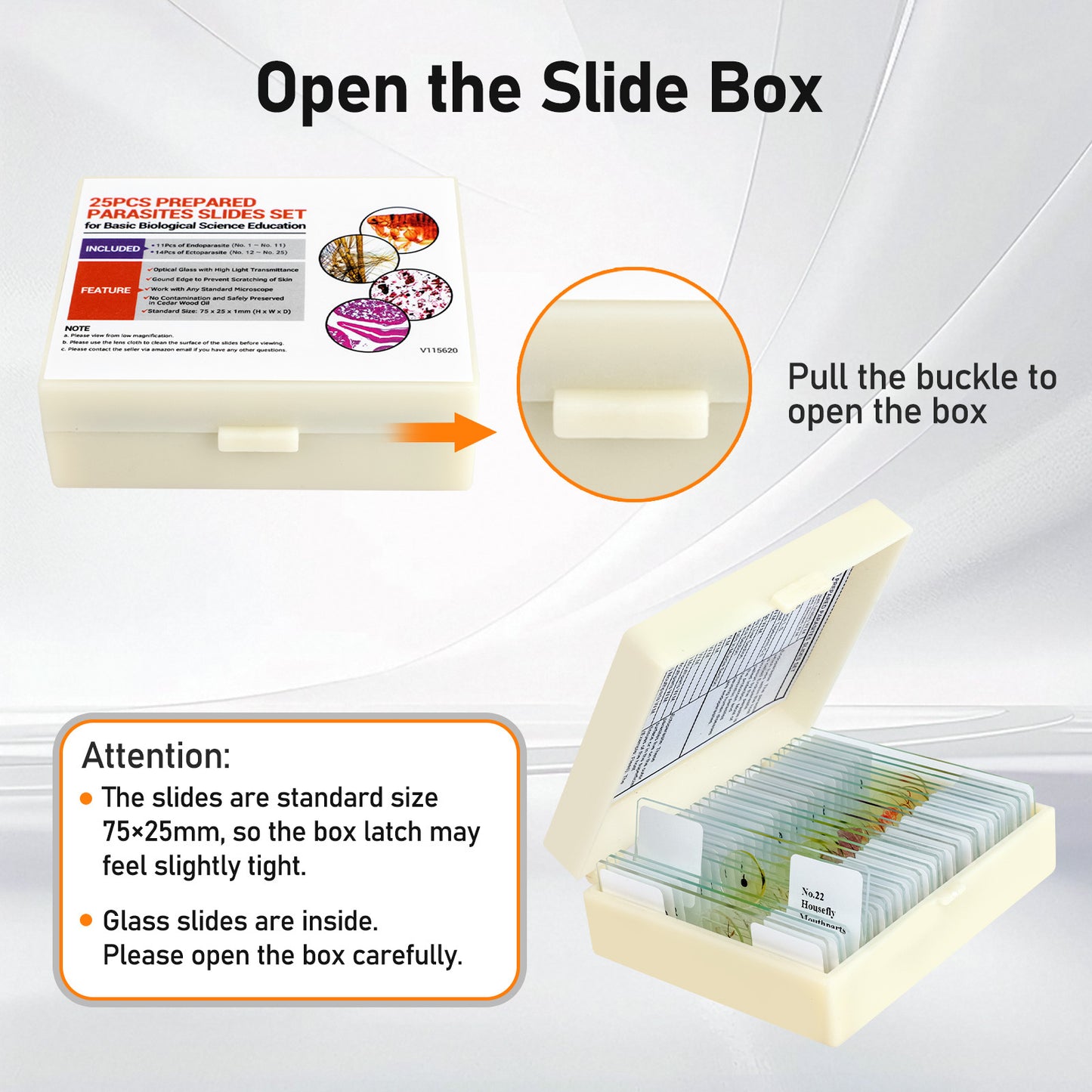 QUNSE Prepared Microscope Slides Kit for Kids and Adults, 25 Specimens Educational Science Set and Toy Gift for Students, Children, and Home School Use