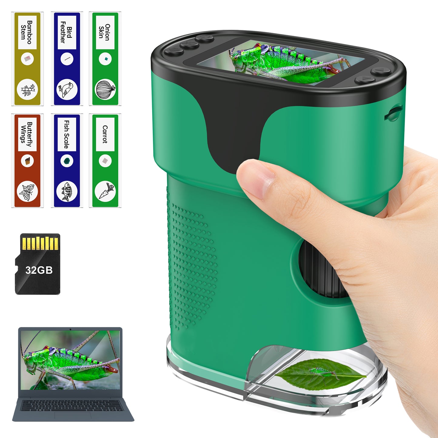 QUNSE Kids Microscope 1000X with 4K Screen, Portable Science Kit with Slides for Kids, Rechargeable Digital Handheld Pocket Microscope (Green)