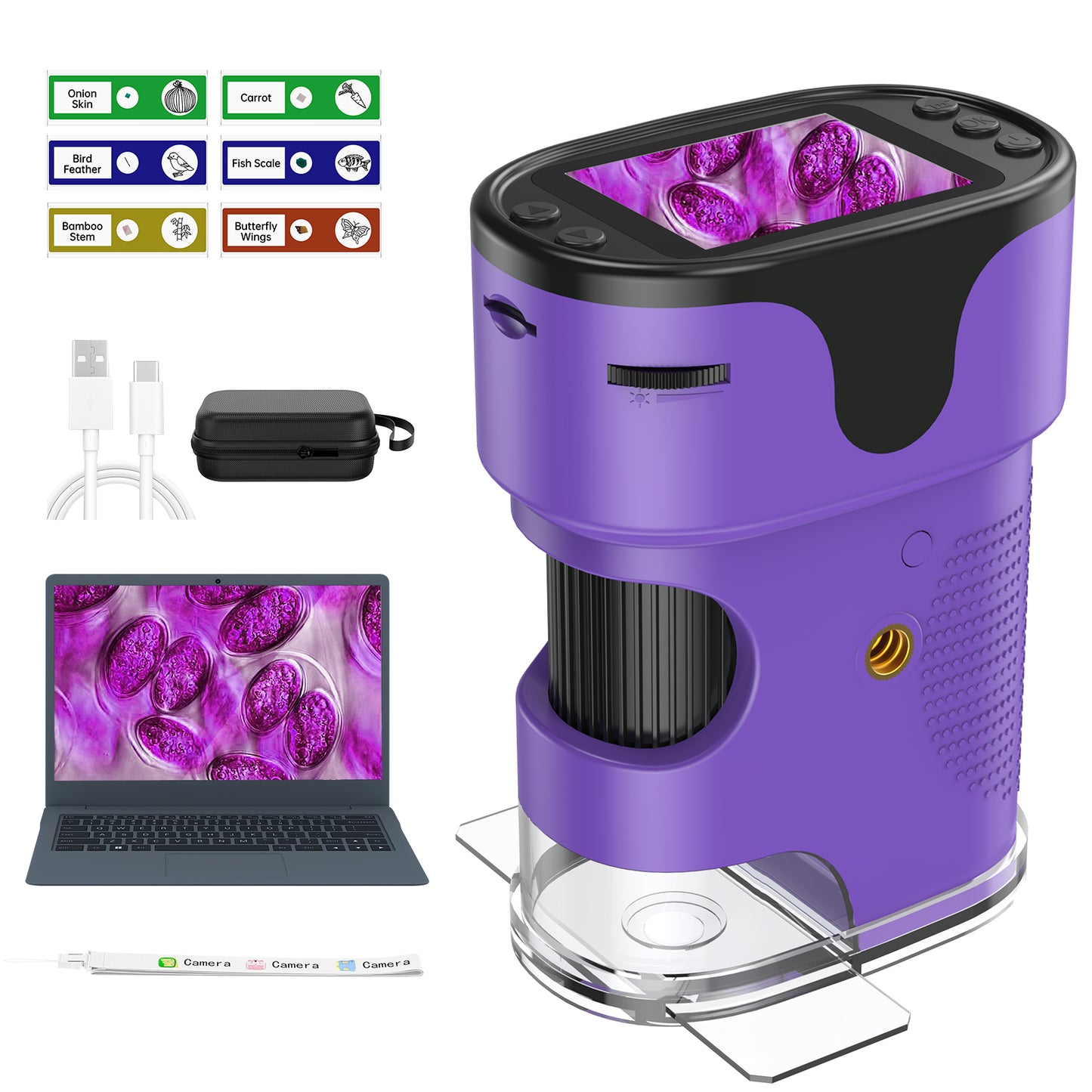 QUNSE Rechargeable Digital Handheld Pocket Microscope, Portable Science Kit with Slides for Kids, Kids Microscope 1000X with 4K Screen (Purple)